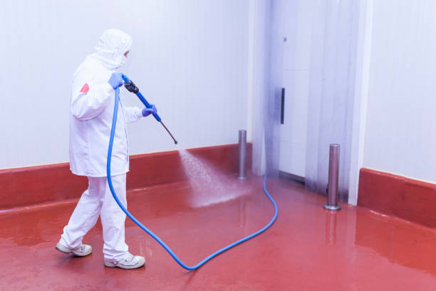Reliable Sycamore, GA Pressure Washing Services Solutions